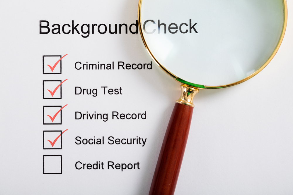 Background Checks, Investigator